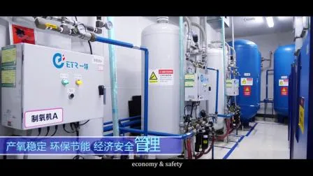 Portable Oxygen Oxigen O2 Cylinders Filling Station/Psa Oxygen Generator