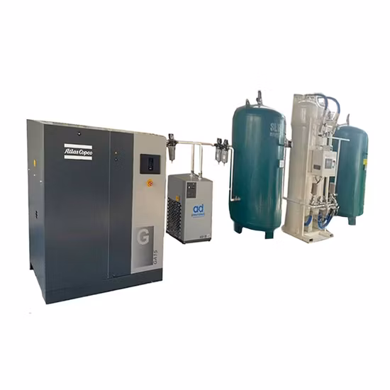 Portable Oxygen Oxigen O2 Cylinders Filling Station/Psa Oxygen Generator